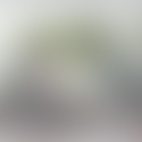 Free website template by Free-Template.co
