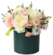 Flowers in boxes